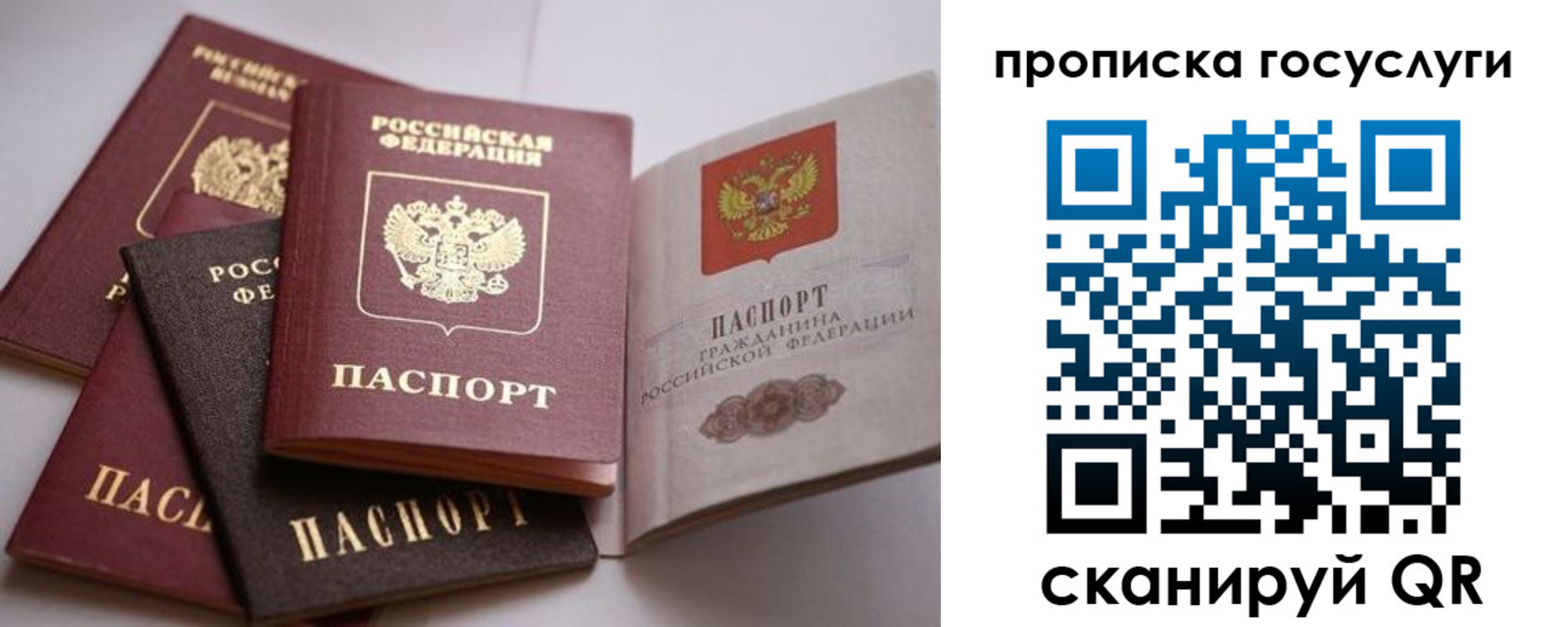 купить прописку в Кировске